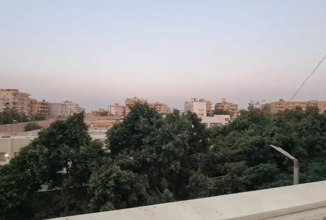 115973334 - صورة العقار 3