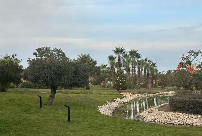 103187689 - صورة العقار 3