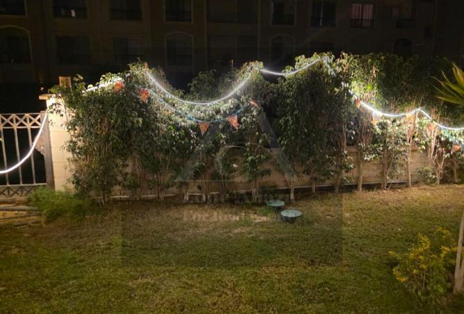 64388876 - Property Image 2