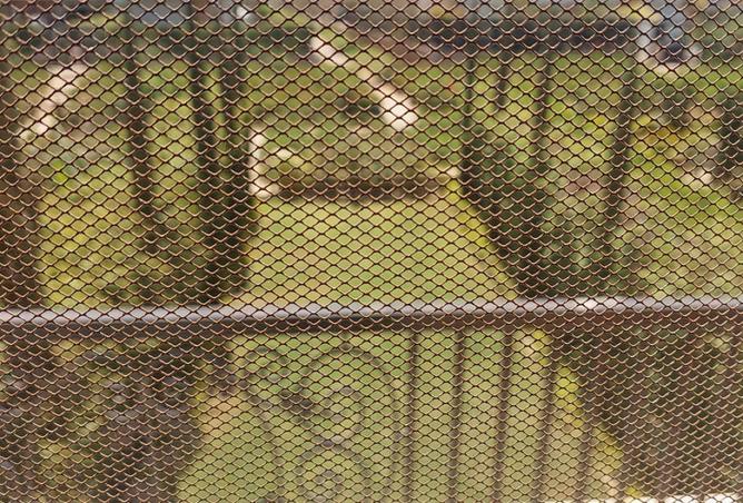 73764272 - Property Image 3
