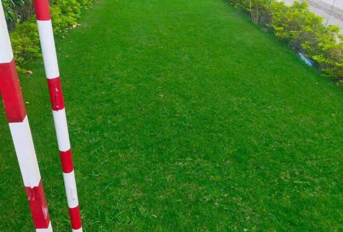 62641183 - Property Image 2