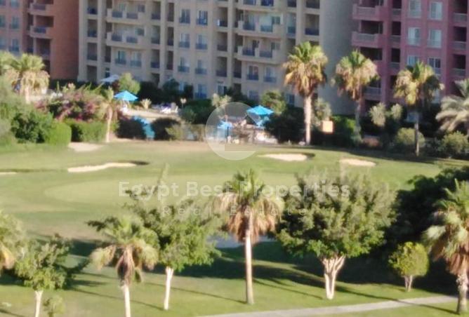 64387026 - Property Image 2