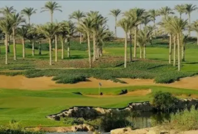 104882747 - صورة العقار 3