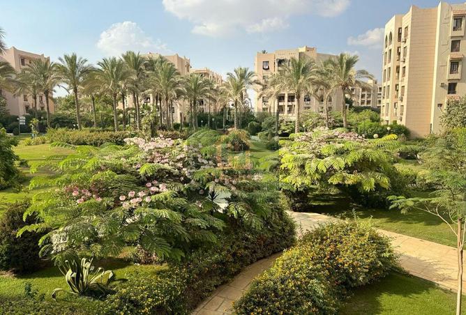 54762078 - Property Image 3