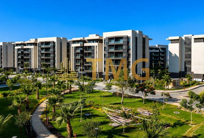 102066401 - صورة العقار 2