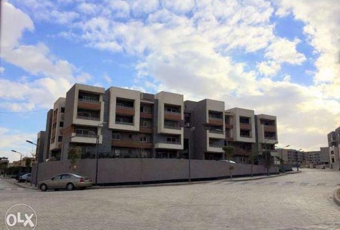 8463243 - Property Image 2