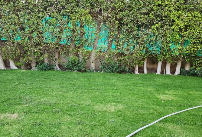 8584333 - صورة العقار 3