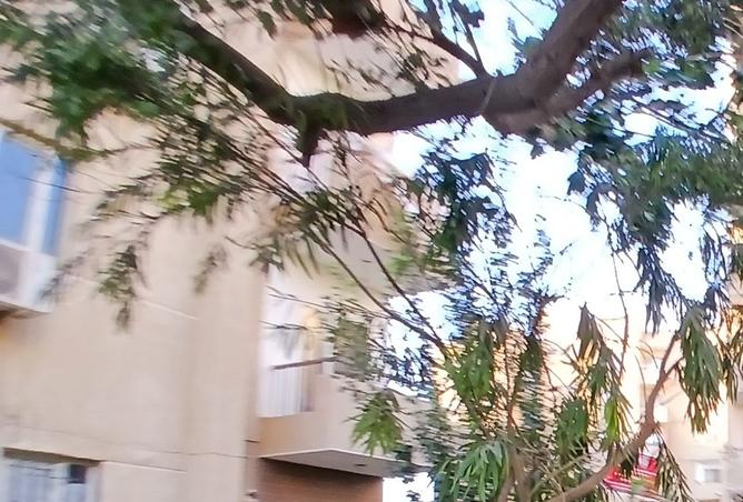 97727658 - صورة العقار 2