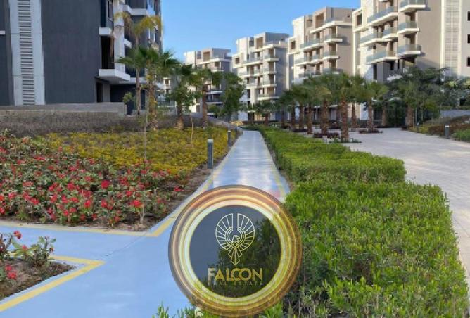 59240924 - Property Image 2