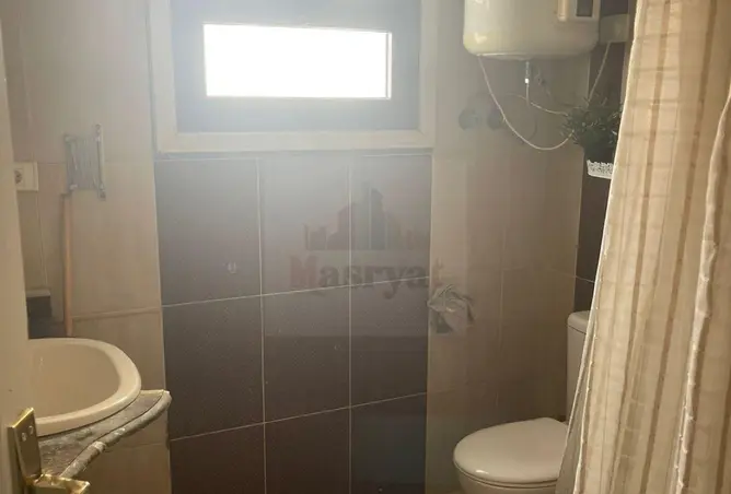 116755884 - Property Image 3