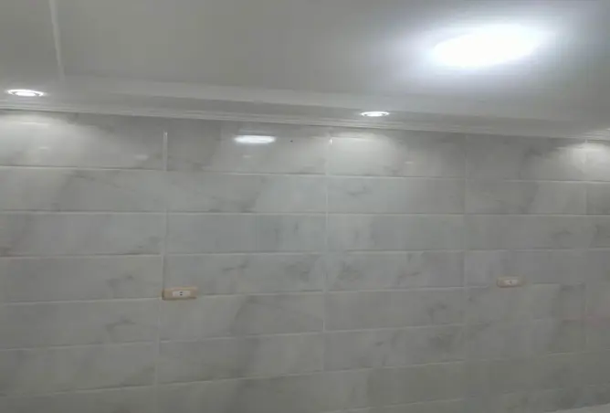 113261895 - صورة العقار 3