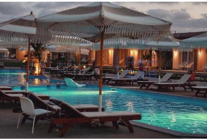 58496371 - Property Image 3