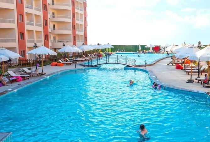 55996197 - Property Image 3