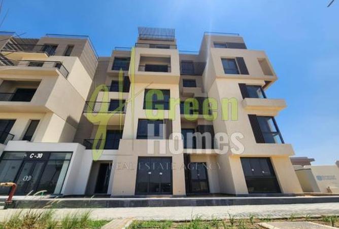 8435963 - Property Image 2