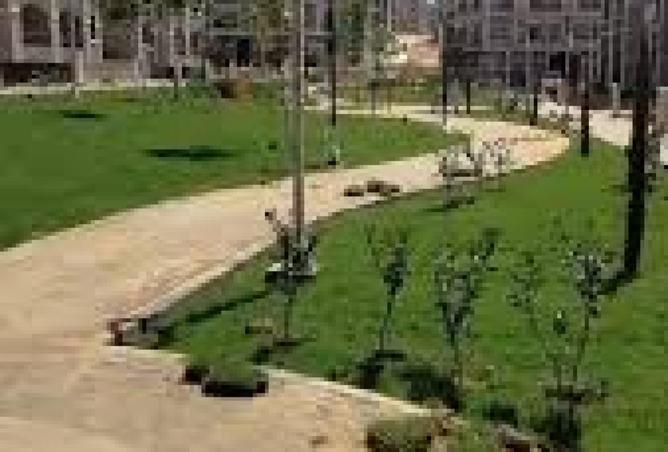 74581338 - Property Image 2