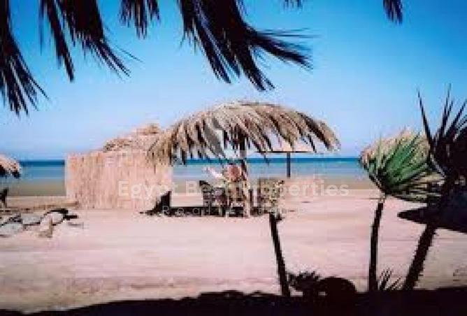 56241271 - صورة العقار 2