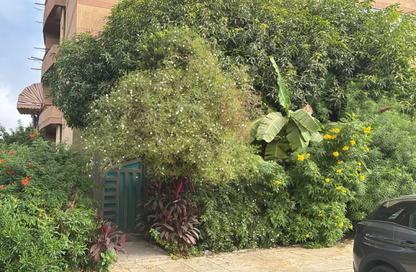 Apartment - 1 - 1 for rent in El Rehab Extension - Al Rehab - New Cairo City - Cairo