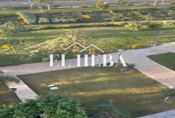 56256232 - Property Image 3