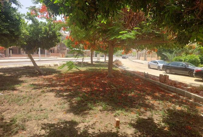 75121593 - صورة العقار 3
