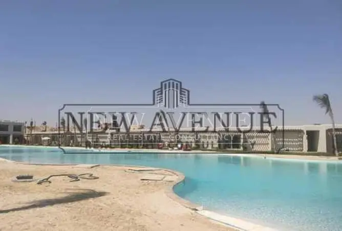 113545836 - Property Image 3
