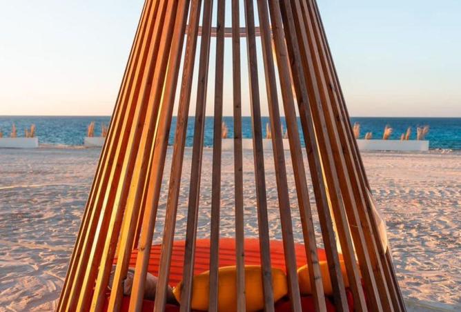 66166675 - Property Image 3