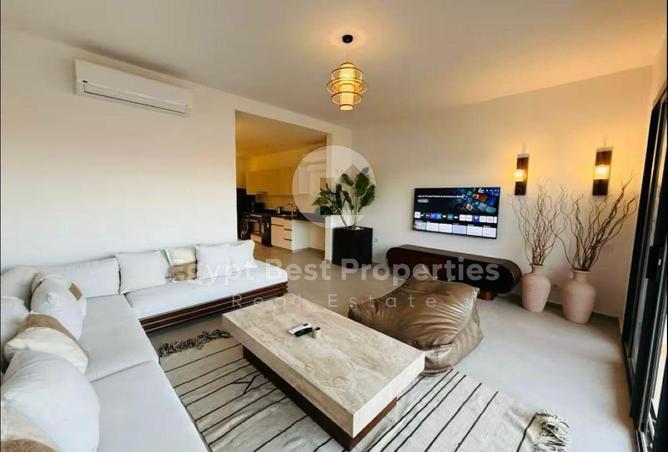 8646656 - Property Image 3