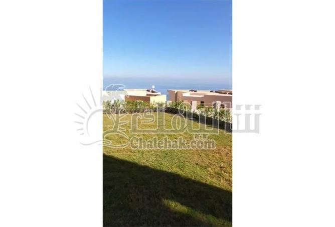 95763266 - Property Image 3