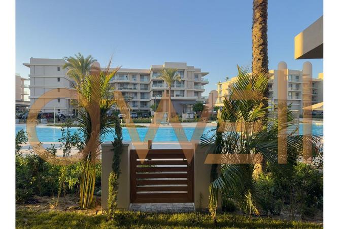 53989855 - Property Main Image