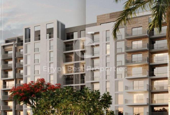 53985252 - Property Image 2