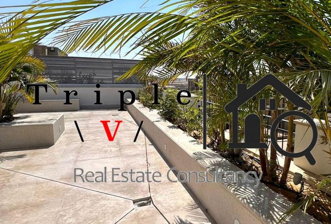 53720887 - صورة العقار 2