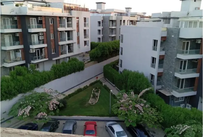 117529667 - Property Image 2