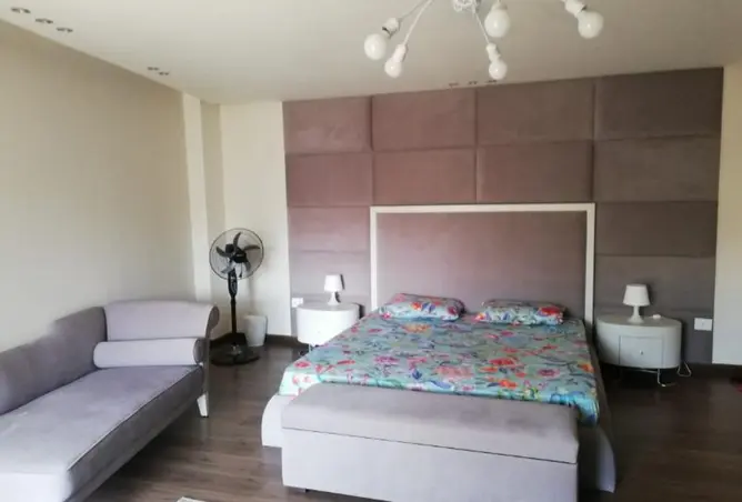 117529667 - Property Image 3
