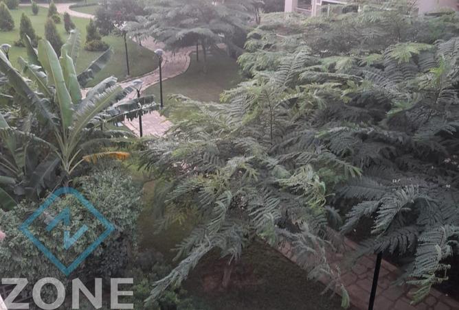 59236297 - الصورة الرئيسية للعقار