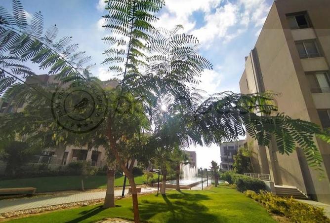 62401826 - صورة العقار 2