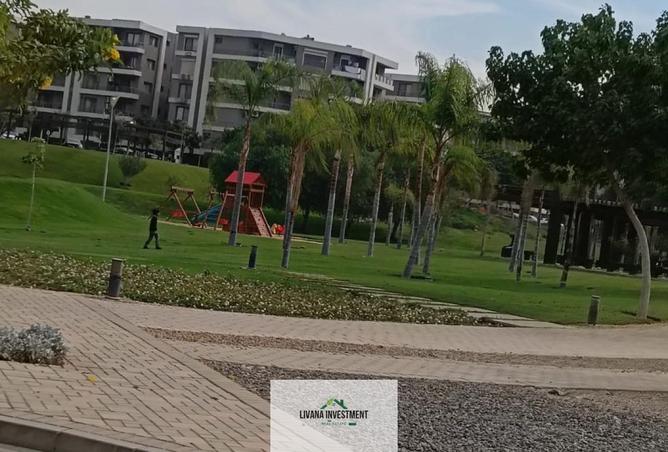 8529181 - Property Image 3