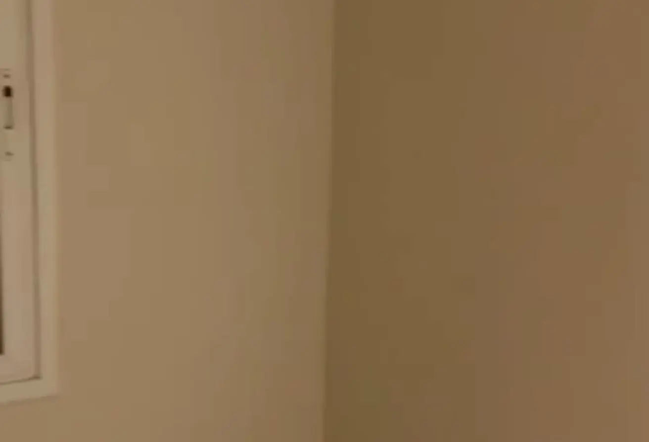 113540956 - الصورة الرئيسية للعقار