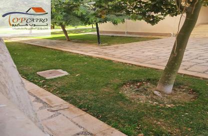 Apartment - Studio - 1 Bathroom for sale in B6 - Madinaty - Cairo