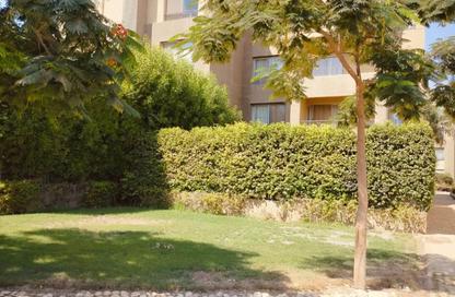 Apartment - 2 Bedrooms - 3 Bathrooms for sale in Palm Parks   Palm Hills - South Dahshur Link - 6 October City - Giza