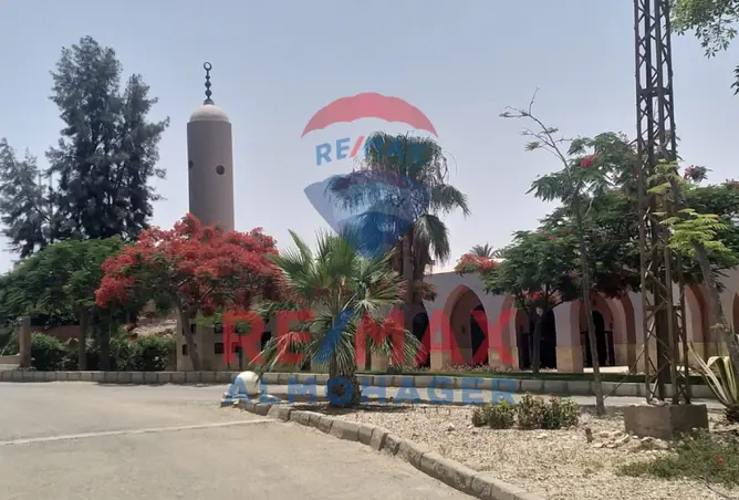 79998128 - صورة العقار 2