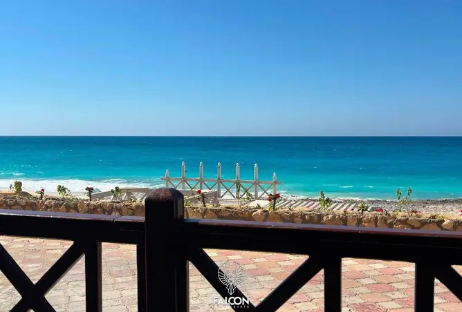 117271019 - صورة العقار 2