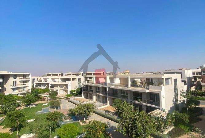 91290858 - صورة العقار 2