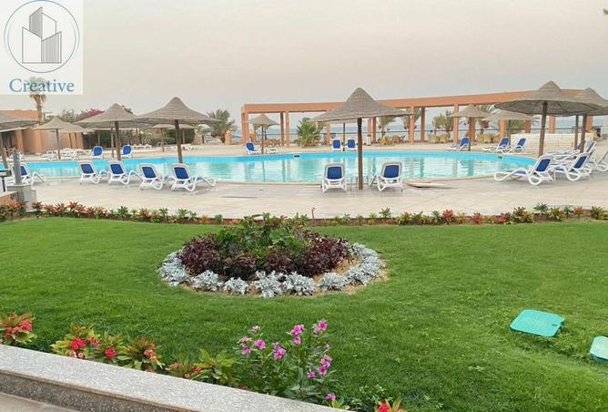 8572241 - صورة العقار 3