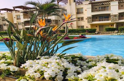 Chalet - 3 Bedrooms - 2 Bathrooms for sale in Blue Blue - Al Ain Al Sokhna - Suez