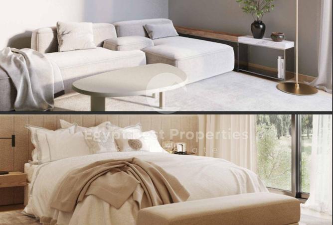 8474473 - Property Image 3