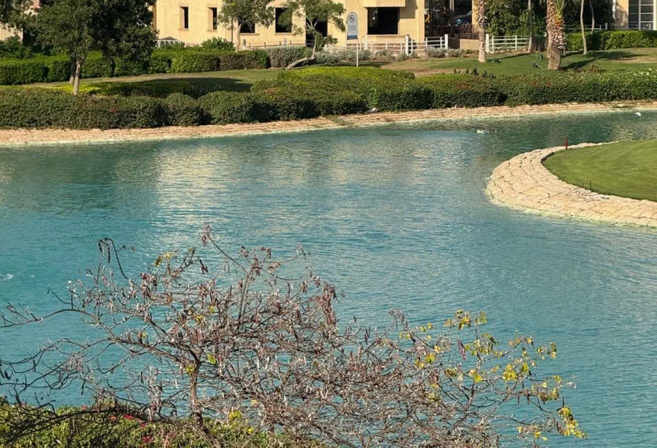 120335163 - الصورة الرئيسية للعقار