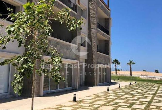 64904069 - Property Image 2