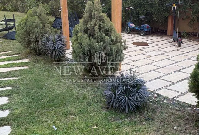 112703603 - Property Image 3