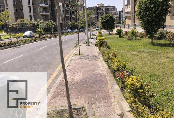 66958654 - Property Image 2