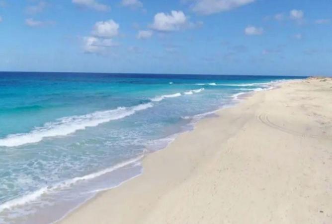 8604687 - صورة العقار 3