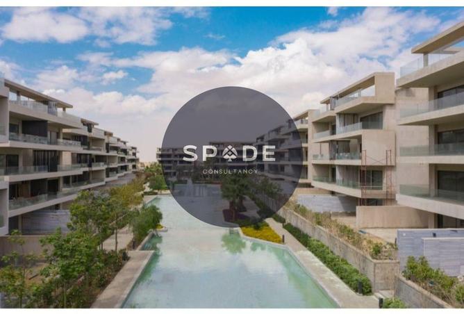 69571239 - Property Image 3